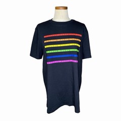 Calvin Klein Jeans Men’s Rainbow Logo Graphic T-Shirt M Regular Crew Neck