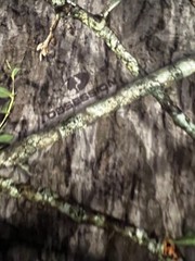 Vintage Y2K Mossy Oak Shirt Green Mossy Oak Obsession Camo Camouflage MEN’S 2XL