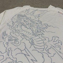 Quicksilver EQPT Shirt Dragon Long Sleeve Rash Guard Swimming UPF 50+ Protection