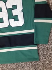 Box Lunch Jurassic Park #93 Captain Lace Up Hockey Jersey Green Adult Small