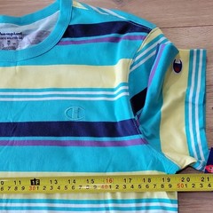 Champion Men’s M Striped T-Shirt Retro Surf Skate Coastal Cotton NWT Blue Yellow
