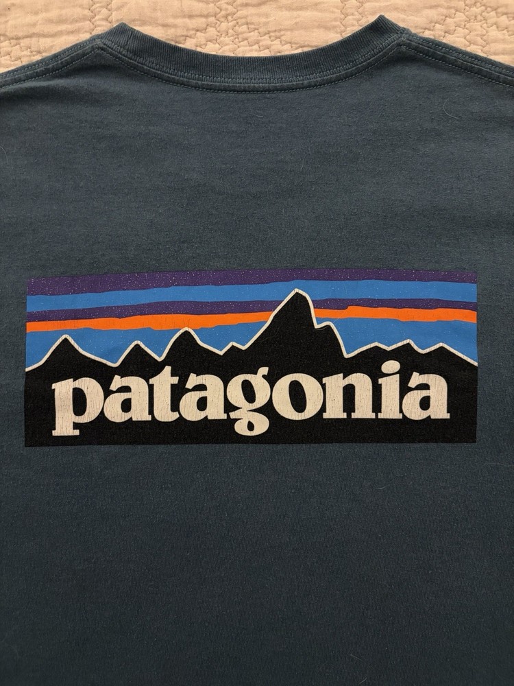 Patagonia Responsibili-Tee Men’s Blue Graphic Logo Crew Neck T-Shirt Size M