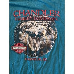 Harley Davidson Chandler Arizona Rattlesnake Long Sleeve T-Shirt Teal Mens XL