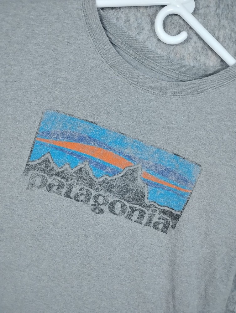 Patagonia Men’s L Gray Mountain Graphic Organic Cotton Logo T-Shirt Outdoors Tee