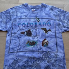 Vintage Colorado Shirt Large Multicolor 90s All Over Print Nature Art Eagle