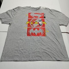 DC Comics THE FLASH T-Shirt Men’s S (34-36) Super Icons Graphic Short Sleeve