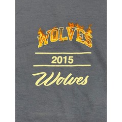 Darc Sport Wolves Bodybuilding Club Streetwear T-Shirt Purple Flames Sz M