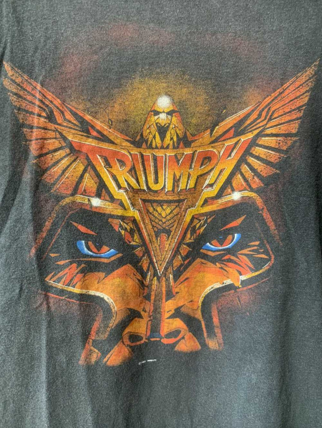 TRIUMPH never surrender Unisex T-Shirt All Size S-5XL DI1081