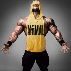 Men ANIMAL Gym Hooded Tank Top Vest Sportswear Sleeveless Shirt Hoodie Tank top