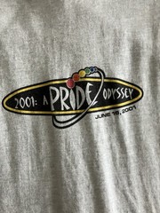 Got Pride Odyssey 2001 T-Shirt Out And Proud LGBTQ Michigan Gray XXL 2XL FOTL