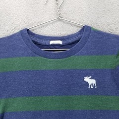 Abercrombie Fitch Shirt Mens XL Green Blue Muscle Crew Neck Long Sleeve Y2K