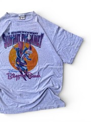 Rare Disney Blizzard Beach Doublesided