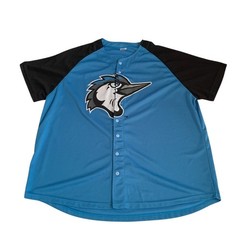 Success Brand MiLB Adult Men’s Size XL Fayetteville Woodpeckers #22 Mesh Jersey