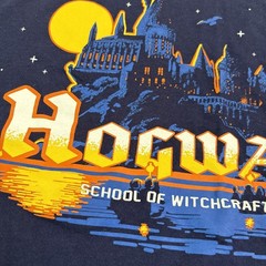 Harry Potter School Of Witchcraft And Wizardry Castle 100% Cotton Shirt Size L