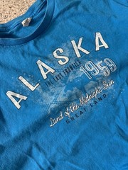 Vintage Y2k Men’s Blue Alaska Spellout T Shirt Tee Size Large 90s Retro USA L