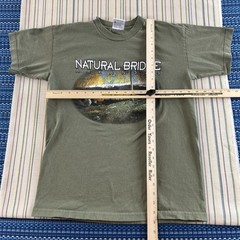 VTG Arkansas Natural Bridge Shirt Mens Medium Green Bayside Nature Outdoors 8545