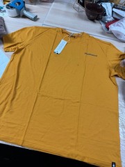 Smartwool Merino Wool Dawn Rise Graphic Short Sleeve Tee in Honey Gold XL