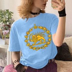 Lion and Sun Iran Persian Flag Iran Shir o Khorshid Graphic T-Shirt