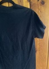 AUTHENTIC Gentle Giant Official Merch – Black T Shirt – CITIZEN ALBUM – Size S