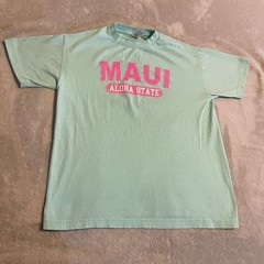 Maui Hawaii Shirt Adult Medium Blue Aloha State Crew Neck Streetwear Workout Tee
