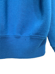 M/L Vtg 70s Blue Blank Single V Distressed Skate Punk Dogtown Raglan Sweatshirt