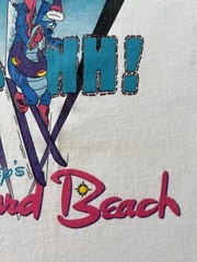Vintage 90s Disney Blizzard Beach I Survived Summit Plummet White T-shirt