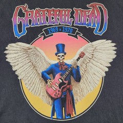 Grateful Dead x Lee 69′ 70′ Tour Band T-Shirt Mens L Black Rock Skull AOP