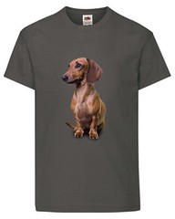 Brown Dachshund Dog Pet Friend Family Novelty T Shirt Various Colours And Sizes
