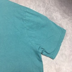 The North Face Mens Graphic T Shirt Adult size Large Teal Blue Short Sleeve Tee