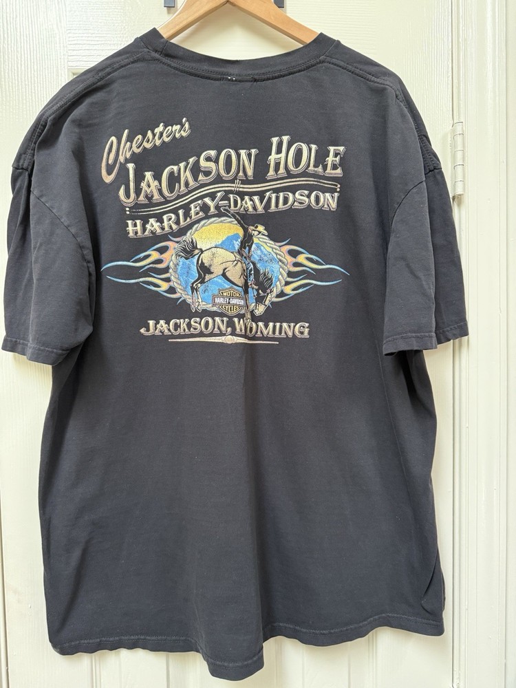 Harley Davidson Chester’s Jackson Hole, WY Bronco Graphic TShirt Size XXL