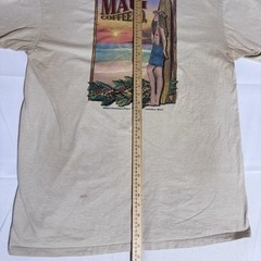 Crazy Shirts T-Shirts, Hawaiian, USA, VTG, Combed Cotton, Tan, Male, 2XL