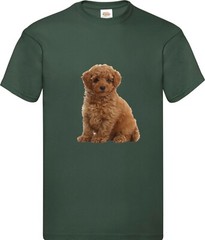 Toy Poodle Brown Dog Pet Family Novelty T Shirt Various Colours And Sizes