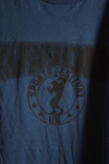 Arnold Classic Mens Sports T-Shirt Blue – Size XL (e49)