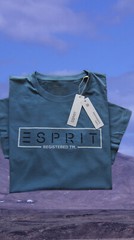 Esprit Mens T-Shirt 3XL, 4XL, 5XL Turquoise, Dove Blue, Cotton, Cotton