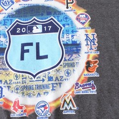 Majestic MLB 2017 Spring Training Florida T-Shirt 3XL Charcoal Heather