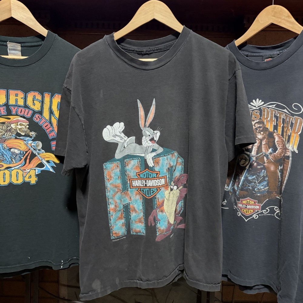Vintage 90s Harley Davidson Sun Faded Single Stitch T Shirt Looney Tunes Taz XL