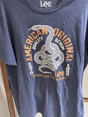 Lee Jeans blue t-shirt size large. Short sleeve. 50/50 cotton/poly. Very nice T.