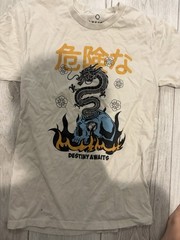 Empyre Men’s White Cotton Jersey Graphic T-Shirt Dragon Skull “Destiny Awaits” S