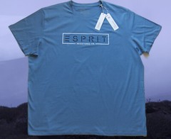 Esprit Mens T-Shirt 3XL, 4XL, 5XL Turquoise, Dove Blue, Cotton, Cotton