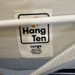 Hang Ten Light Blue L Men’s T-Shirt Striped Embroidered Logo Short Sleeve NWT