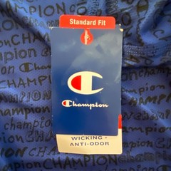Champion T-Shirt Men’s Medium Crew Neck Mesh Fabric Signature Logo Blue NEW