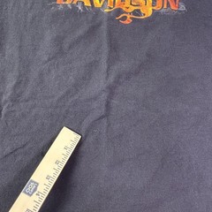 Harley-Davidson Shirt Mens Large Black Orlando Flames Graphic Motorcycle Florida