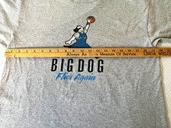 VTG Y2K AIR BIG DOG Flies Again T Shirt Basketball Youth XL- Men S Jordan Parody