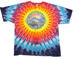 1990s Woodstock T Shirt 3XL Tie Dye 1999 Music Festival Hippie Tour Band