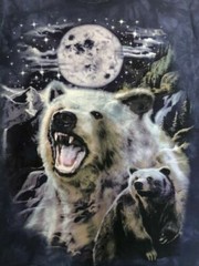The Mountain Vintage Meiklejohn Polar Bear/Moon Adult T-shirt (Circa 2000’s)