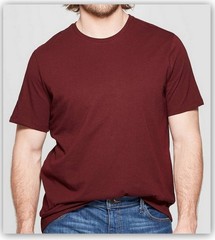 Short Sleeve Crewneck T-Shirts Big & Tall Goodfellow & Co choice of Size/Color