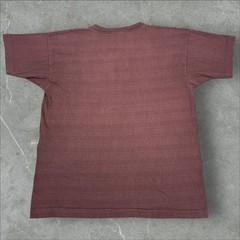 Rare True Vintage 70’s Champion Brown University College PE Striped T-Shirt – XL