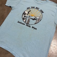Vintage 80s Jackson Hole Wyoming T Shirt Men M Blue Ski Outdoor Nature Art USA
