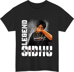 Streetwear Desi Music Lover T-Shirt – Punjabi Urban Style Hip Hop Music Gift Tee