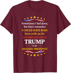 Sometimes I Feel Down But Then I Remember Funny Unisex T-Shirt